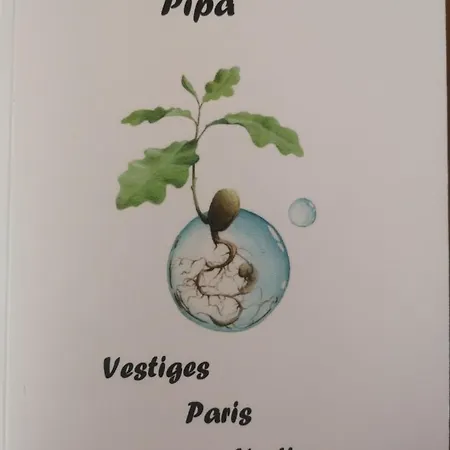 Indépendante Avec Salle De Bains Et Cuisine *